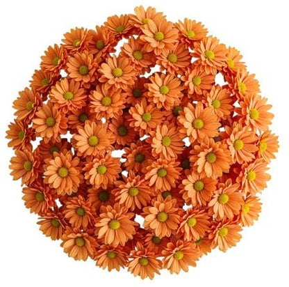 Orange Daisy Chrysanthemum Bouquet - Florist London