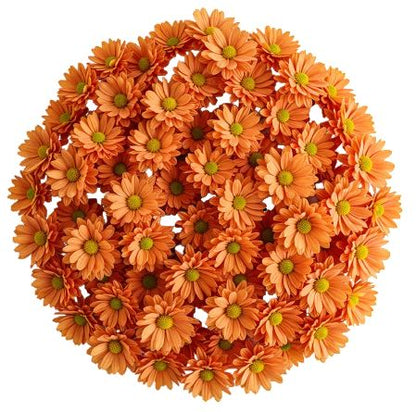 Orange Daisy Chrysanthemum Bouquet