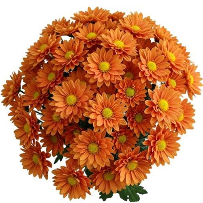 Orange Daisy Chrysanthemum Bouquet - Florist London
