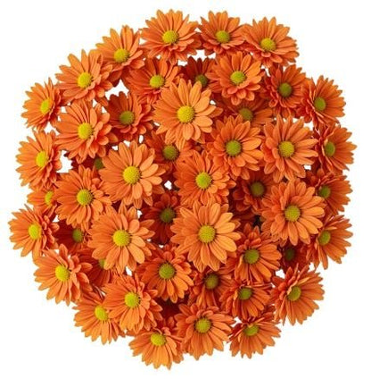 Orange Daisy Chrysanthemum Bouquet - Florist London