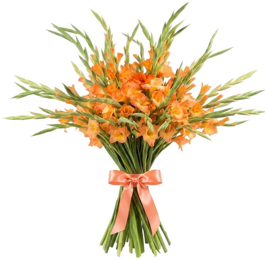 Orange Gladiolus Bouquet - Florist London
