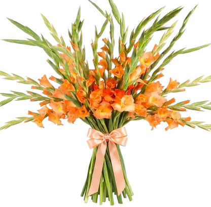 Orange Gladiolus Bouquet - Florist London