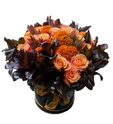 Orange Roses and Celosia Luxury Box