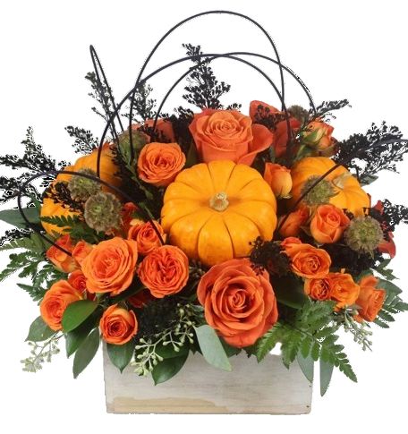 Orange Roses with Mini Pumpkin Halloween Box