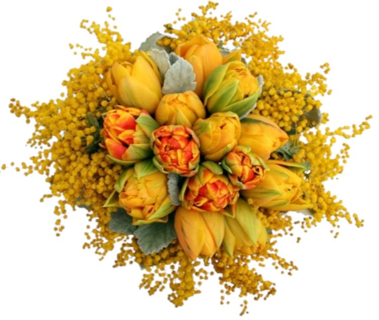 Orange Tulips and Mimosa Bouquet - Florist London