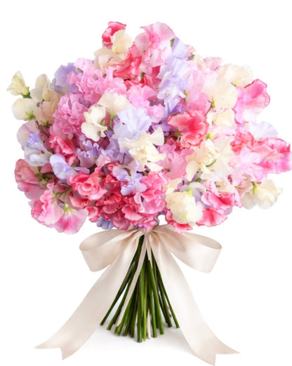 Pastel Sweet Pea Bouquet - Florist London