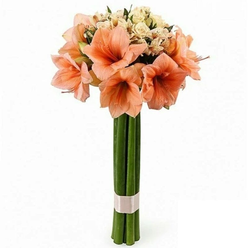 Peach Amaryllis and Cream Roses Bouquet - Florist London