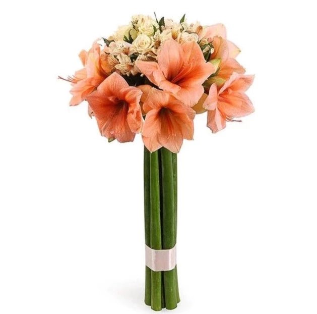 Peach Amaryllis and Cream Roses Bouquet - Florist London
