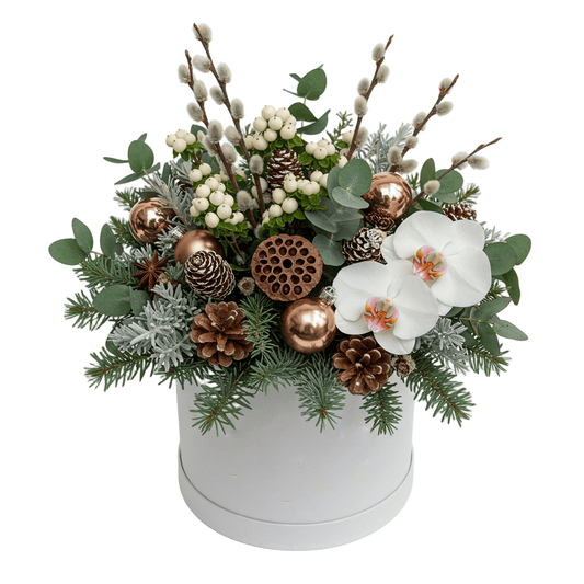 Phalaenopsis Orchids with Catkins Christmas Box - Florist London