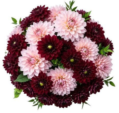 Pink and Burgundy Dahlia Bouquet - Florist London