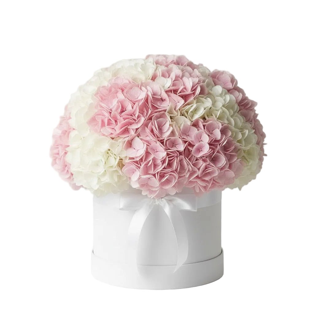 Pink and White Hydrangea Box - Florist London
