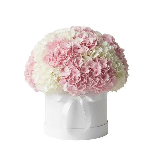 Pink and White Hydrangea Box - Florist London