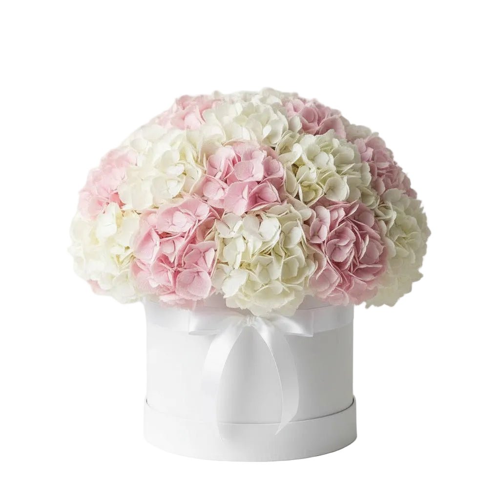 Pink and White Hydrangea Box - Florist London