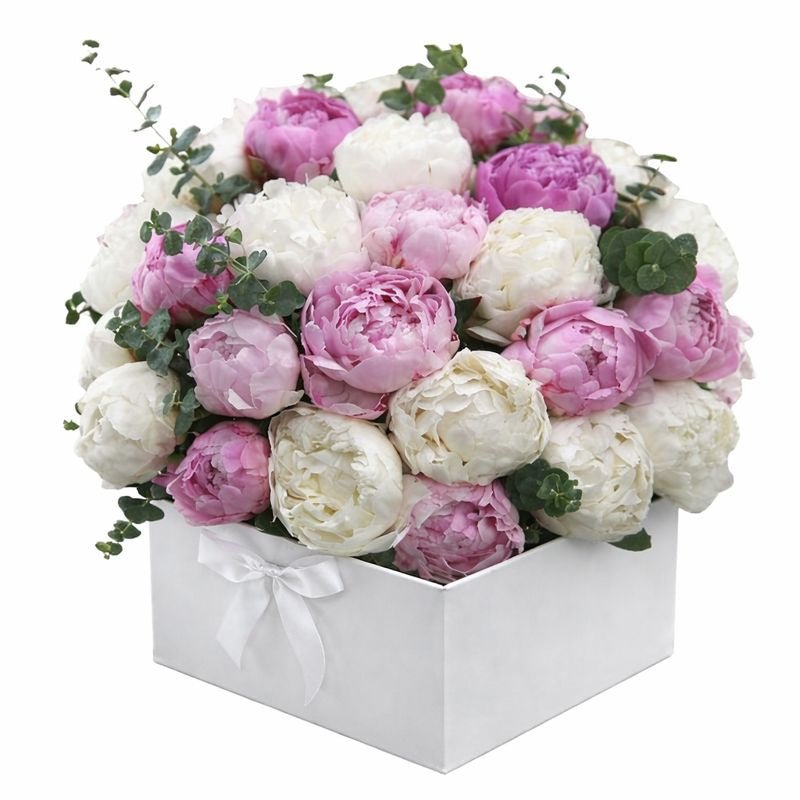 Pink and White Peony Box - Florist London