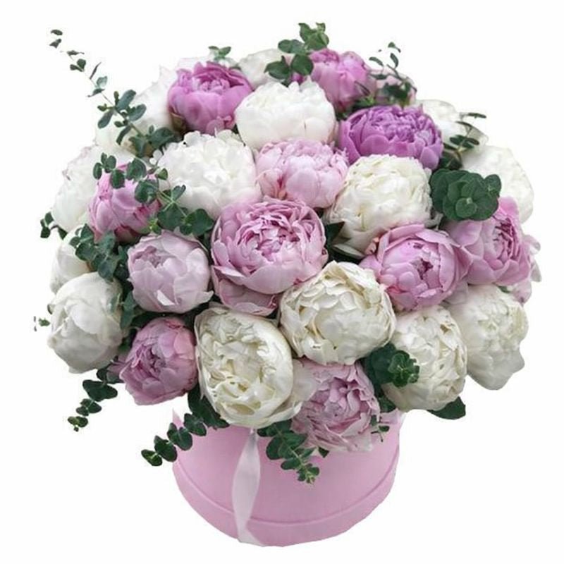 Pink and White Peony Box - Florist London