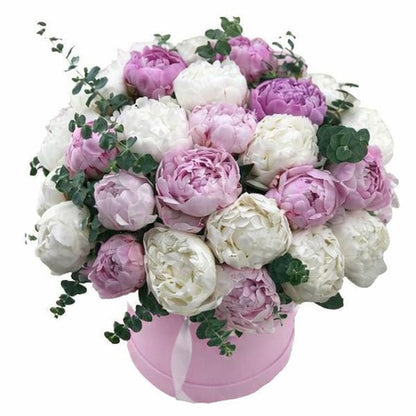 Pink and White Peony Box - Florist London