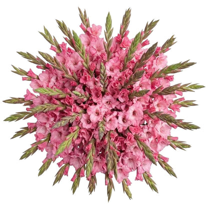 Pink Gladiolus Bouquet - Florist London