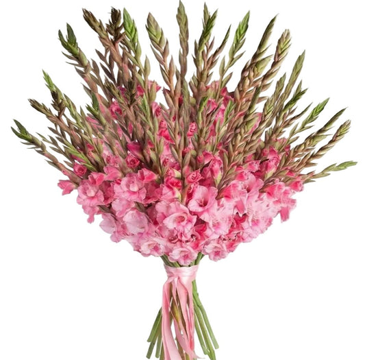 Pink Gladiolus Bouquet - Florist London