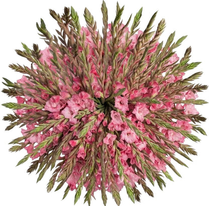 Pink Gladiolus Bouquet - Florist London