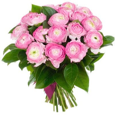 Pink Ranunculus with Salal Bouquet - Florist London