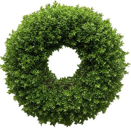 Plain Baxus Door Wreath - Florist London