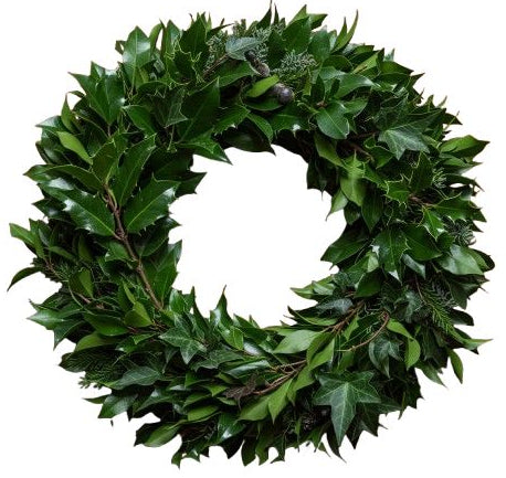 Plain Holly Door Wreath