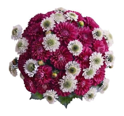Pretty Bouquet of Dahlia and Scabiosa - Florist London