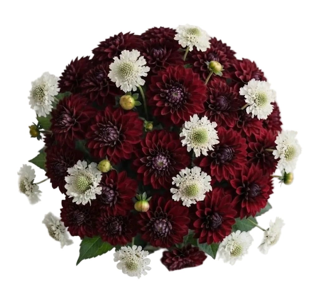 Pretty Bouquet of Dahlia and Scabiosa - Florist London