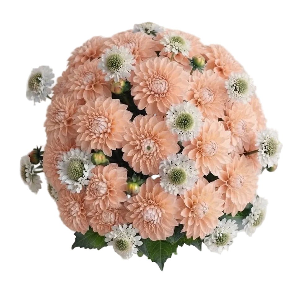 Pretty Bouquet of Dahlia and Scabiosa - Florist London