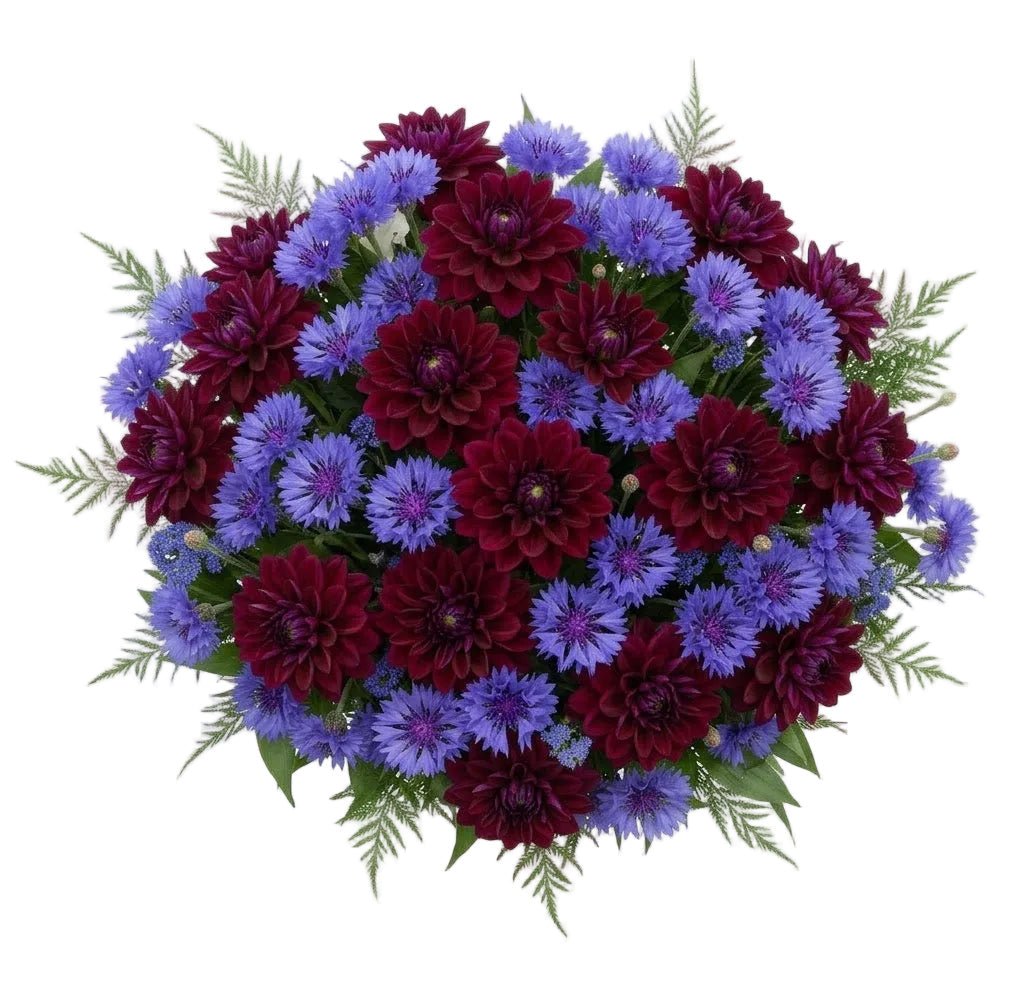 Pretty Bouquet of Dahlia with Cornflowers - Florist London