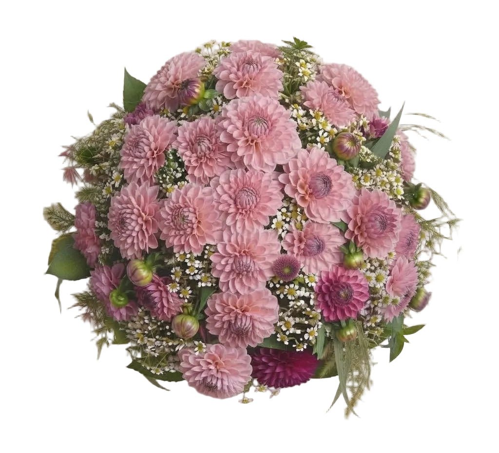 Pretty Bouquet of Dahlia with Daisy Tanacetum - Florist London
