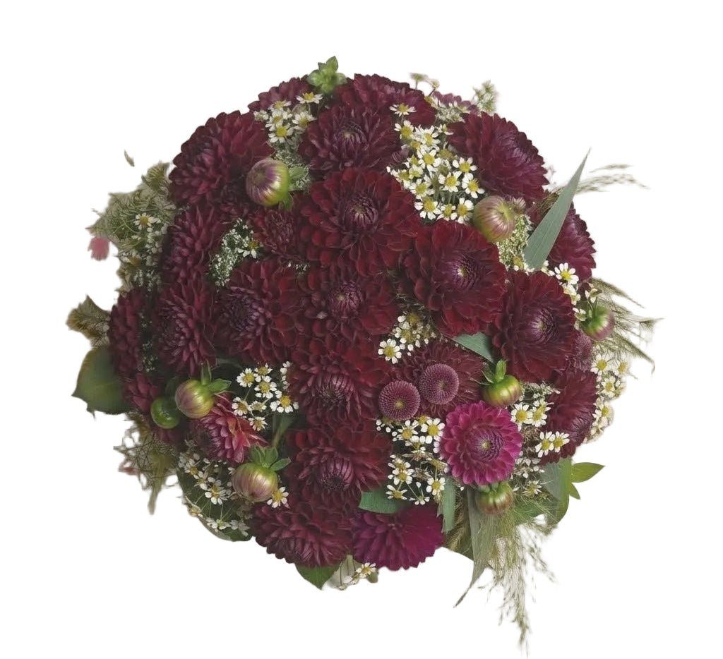 Pretty Bouquet of Dahlia with Daisy Tanacetum - Florist London