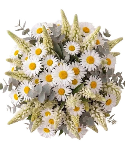 Pretty Bouquet of Daisies and Lupinus - Florist London