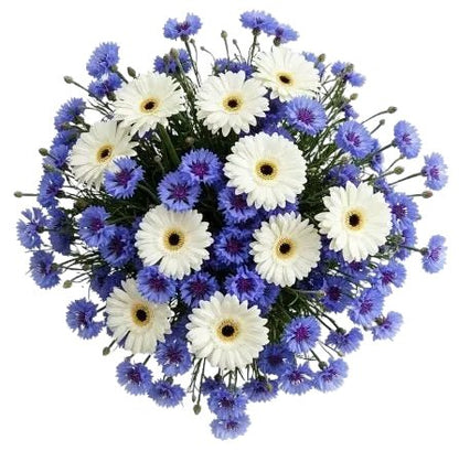 Pretty Bouquet of Gerbera and Cornflowers - Florist London