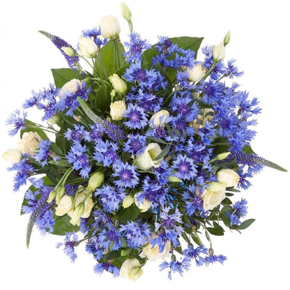 Pretty Bouquet of Lisianthus and Cornflower - Florist London