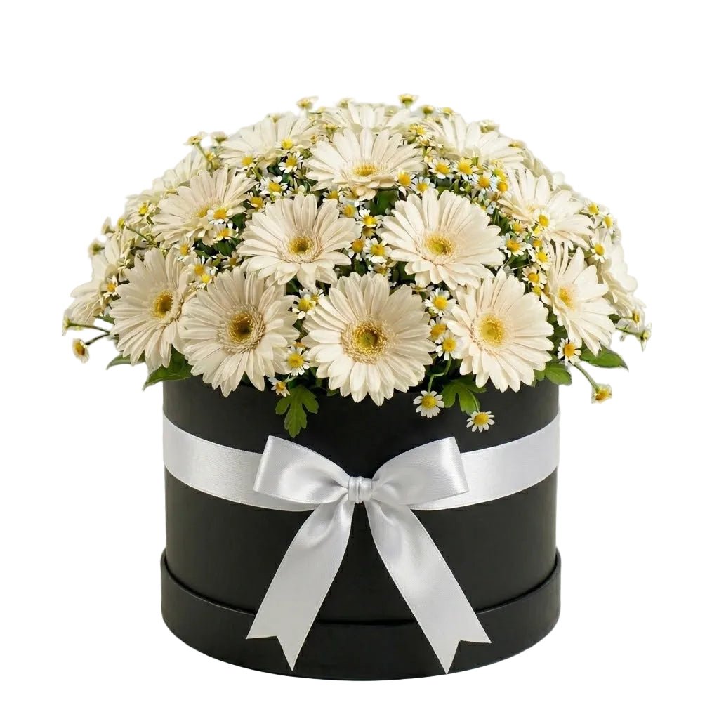 Pretty Box of Gerberas and Daisy Tanacetum - Florist London