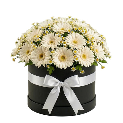 Pretty Box of Gerberas and Daisy Tanacetum - Florist London