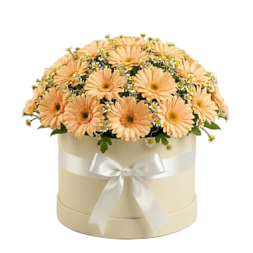 Pretty Box of Gerberas and Daisy Tanacetum - Florist London
