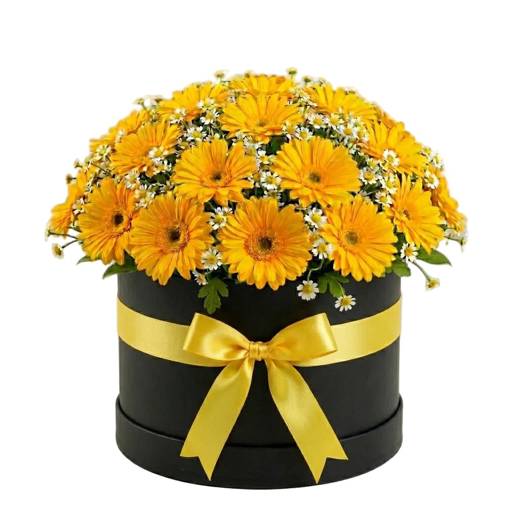 Pretty Box of Gerberas and Daisy Tanacetum - Florist London