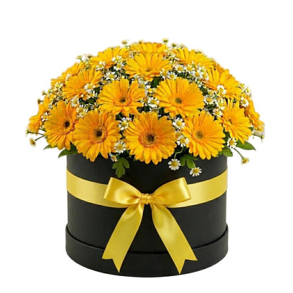 Pretty Box of Gerberas and Daisy Tanacetum - Florist London