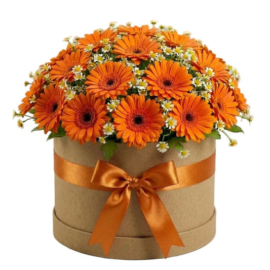 Pretty Box of Gerberas and Daisy Tanacetum - Florist London