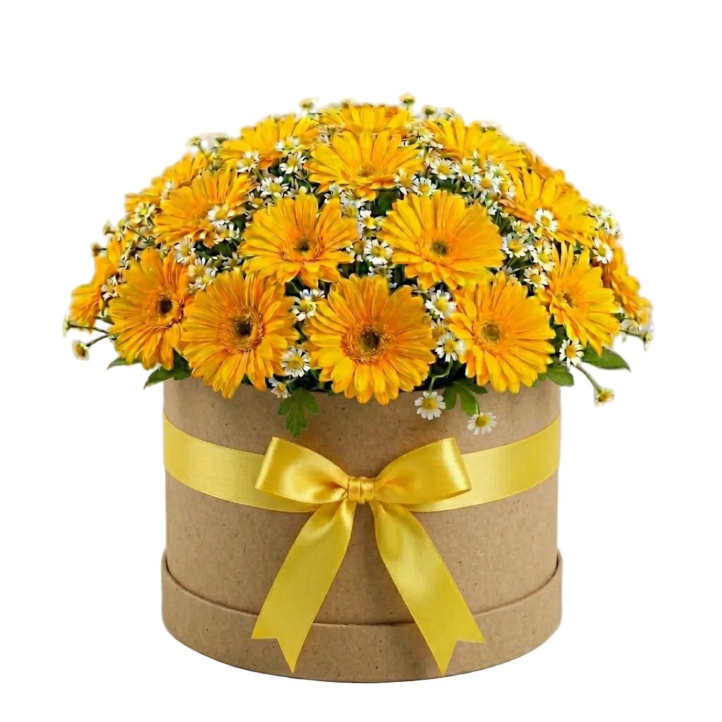Pretty Box of Gerberas and Daisy Tanacetum - Florist London