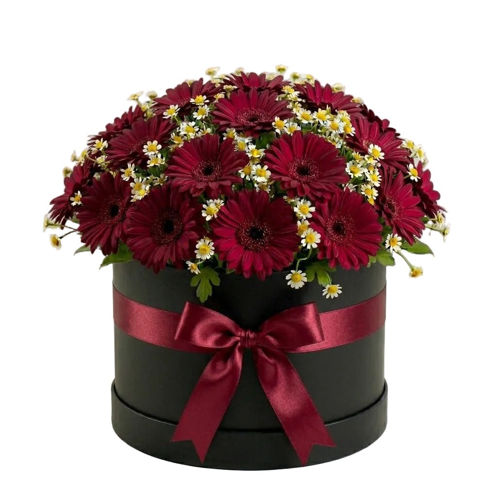 Pretty Box of Gerberas and Daisy Tanacetum - Florist London