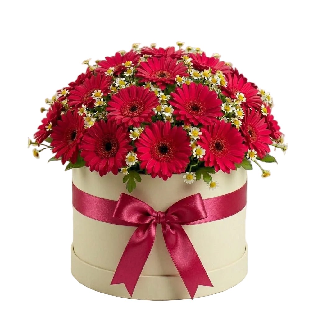 Pretty Box of Gerberas and Daisy Tanacetum - Florist London