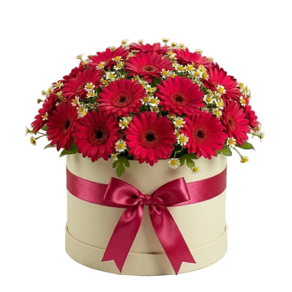 Pretty Box of Gerberas and Daisy Tanacetum - Florist London
