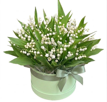 Pretty Box of Lily of The Valley - Florist London
