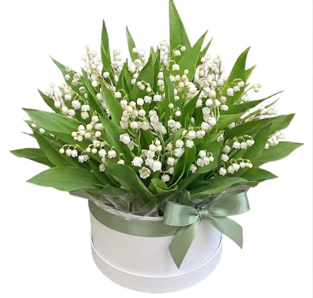 Pretty Box of Lily of The Valley - Florist London