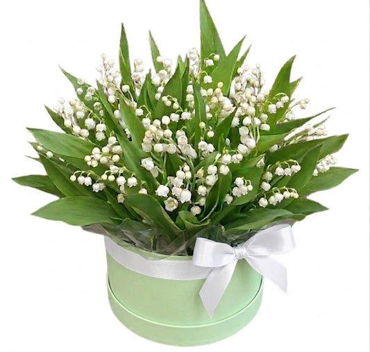 Pretty Box of Lily of The Valley - Florist London