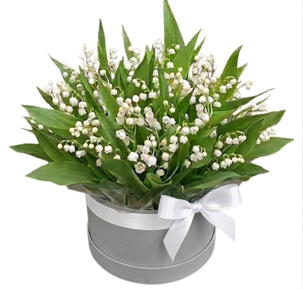 Pretty Box of Lily of The Valley - Florist London