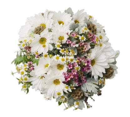 Pretty Daisy with Wax Flowers Bouquet - Florist London